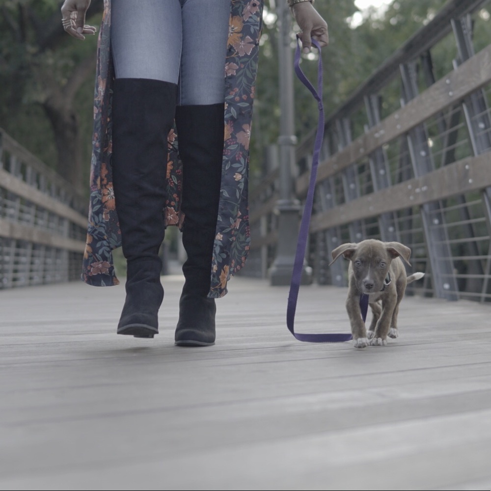 Meet your Posher, Lauren